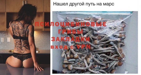 прущие грибы Дмитровск