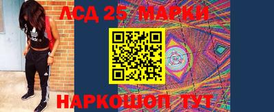 jwh Сланцы