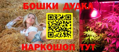 jwh Сланцы