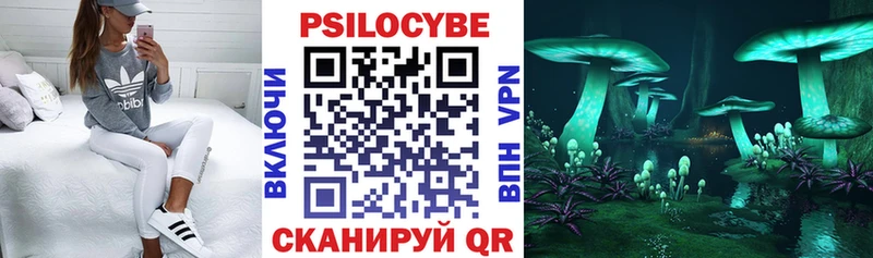 MEGA зеркало  Тосно  Галлюциногенные грибы Magic Shrooms 