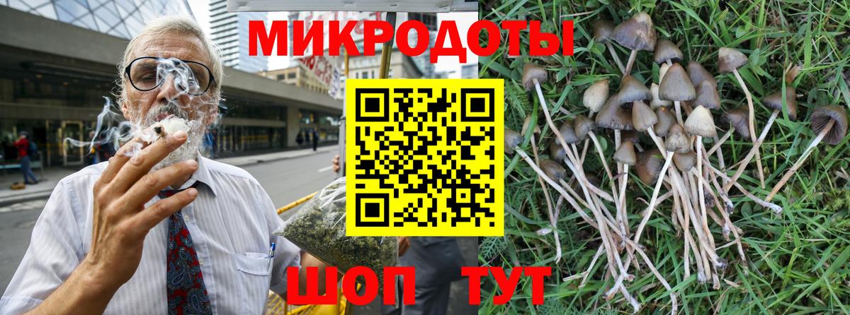 Галлюциногенные грибы Psilocybine cubensis  Псилоцибиновые грибы ЛСД  Вход с VPN  Тосно 